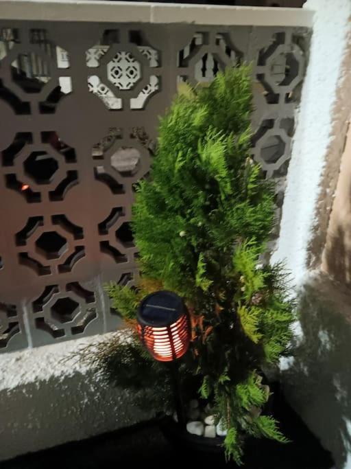 Cozy Bungalow In Urb La Marina With Shared Pool San Fulgencio المظهر الخارجي الصورة